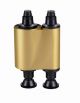 Gold Farbband EVOLIS - R2216